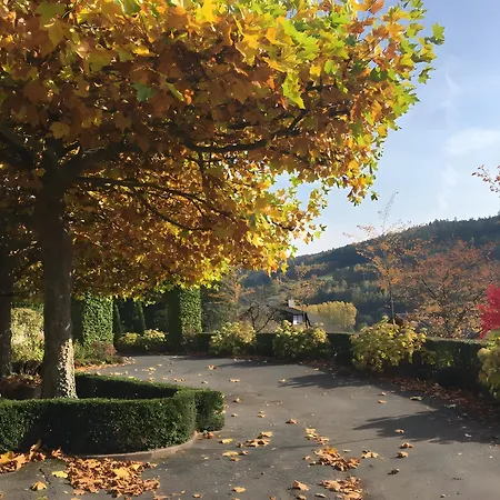 Waldwagen Altes Forstamt *