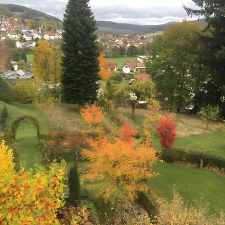 Waldwagen Altes Forstamt *