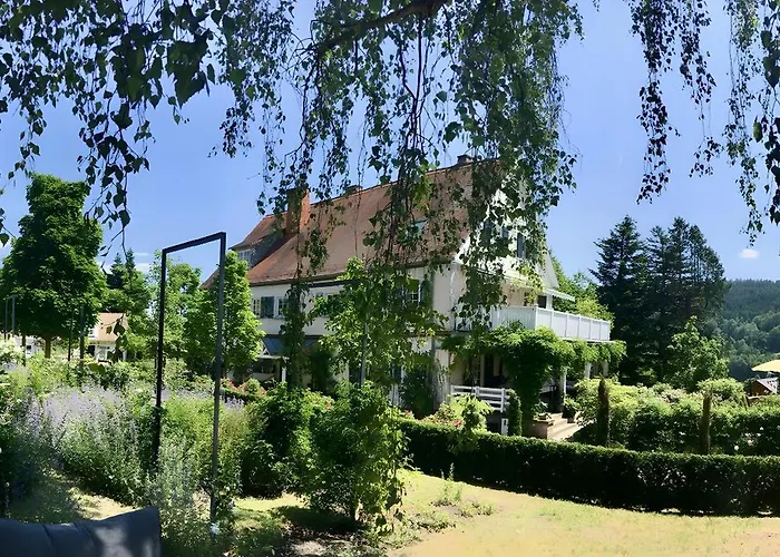 Waldwagen Altes Forstamt *