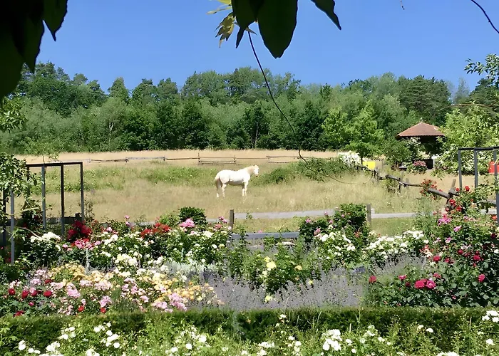 Waldwagen Altes Forstamt Vakantiehuis Sinntal