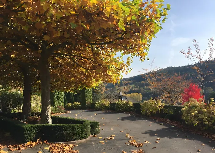 Waldwagen Altes Forstamt *