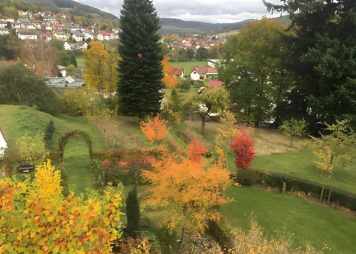Waldwagen Altes Forstamt *